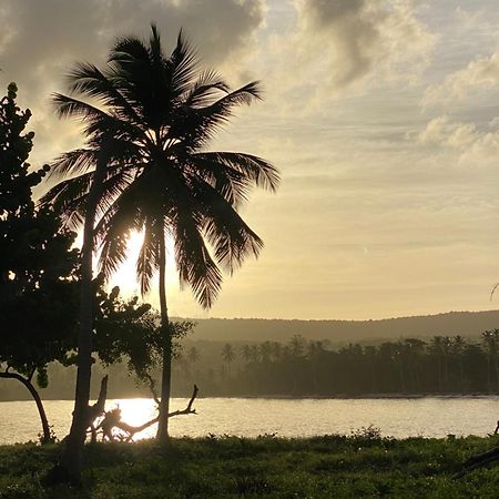 Yes Papa! Rooms Only 100M From The Beach! Las Galeras Exterior photo