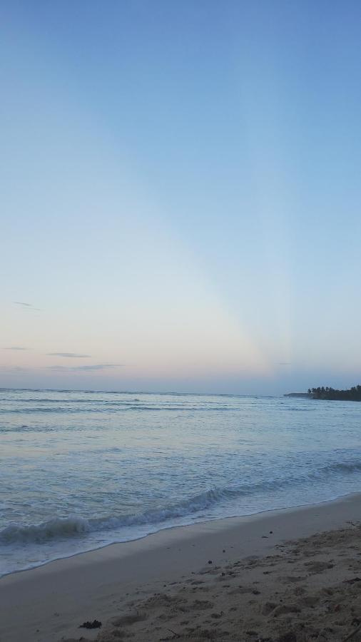 Yes Papa! Rooms Only 100M From The Beach! Las Galeras Exterior photo