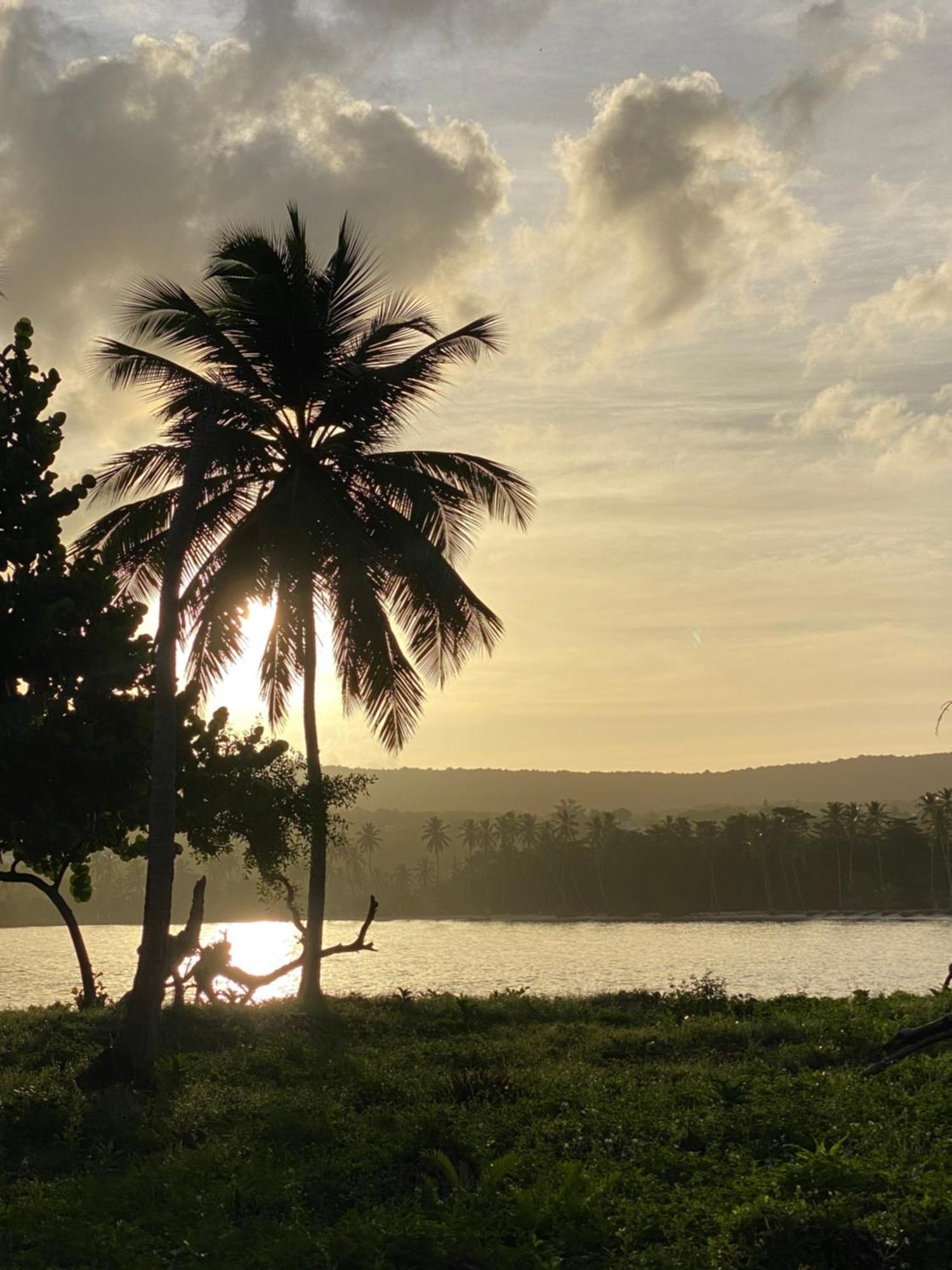 Yes Papa! Rooms Only 100M From The Beach! Las Galeras Exterior photo